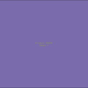 Example Product 6608