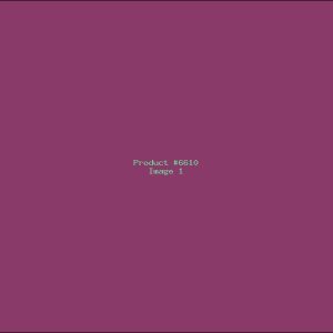 Example Product 6610