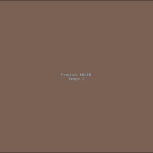 Example Product 6618