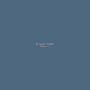 Example Product 6629