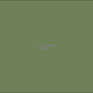 Example Product 6638