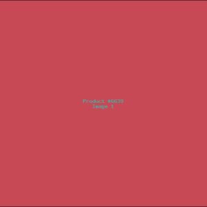 Example Product 6639