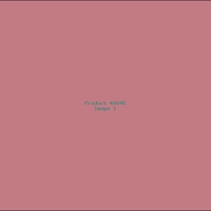 Example Product 6645