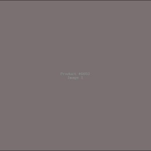 Example Product 6652