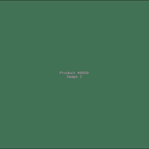 Example Product 6658