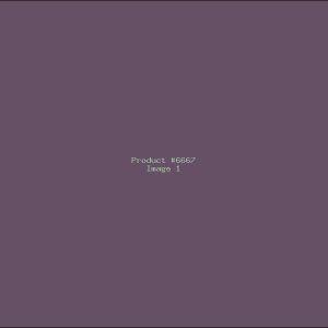 Example Product 6667