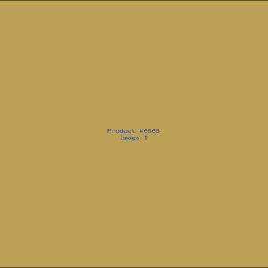 Example Product 6668