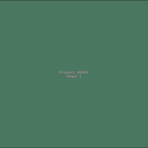 Example Product 6669