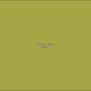 Example Product 6674