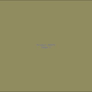 Example Product 6679