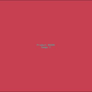 Example Product 6686