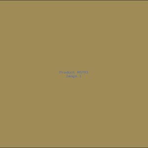 Example Product 6703