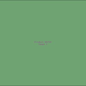 Example Product 6729