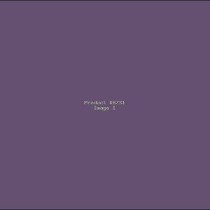 Example Product 6731