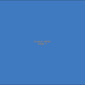 Example Product 6767