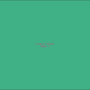 Example Product 6798