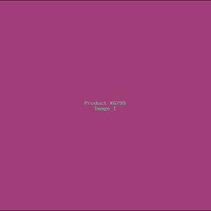 Example Product 6799