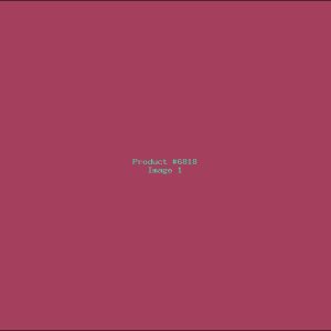 Example Product 6818