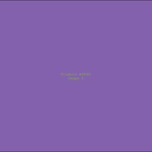 Example Product 6840