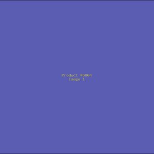 Example Product 6864