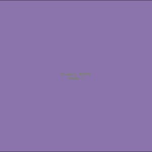 Example Product 6878