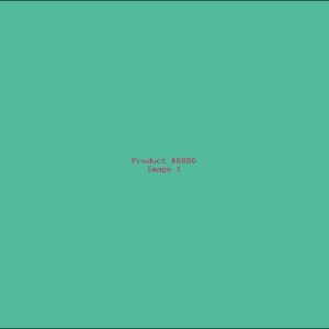 Example Product 6880