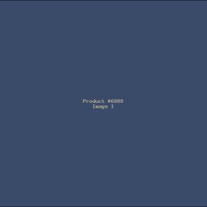 Example Product 6888