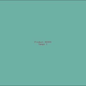 Example Product 6909