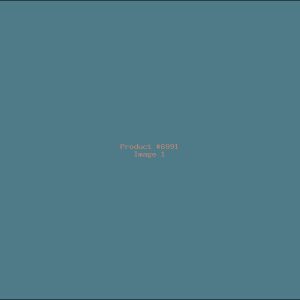 Example Product 6991