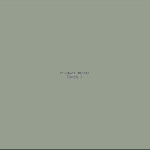 Example Product 6992