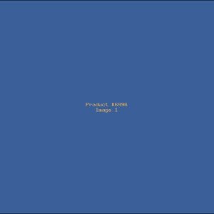 Example Product 6996