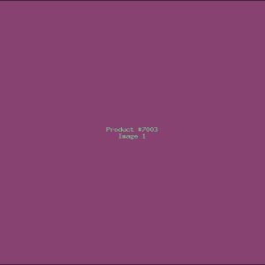 Example Product 7003