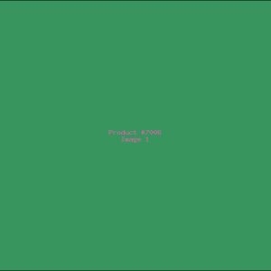 Example Product 7006