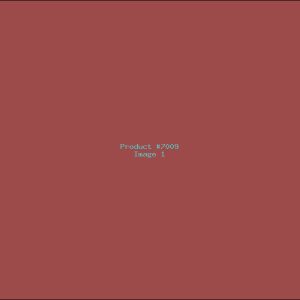 Example Product 7009