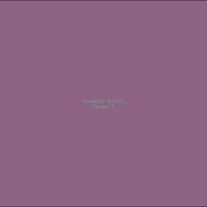 Example Product 7021