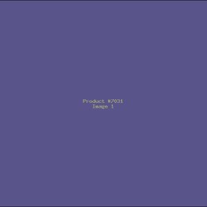 Example Product 7031