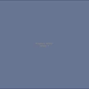 Example Product 7037