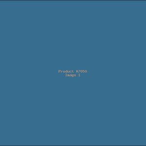 Example Product 7050