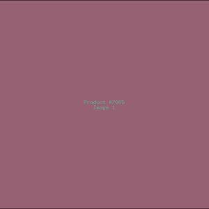 Example Product 7065