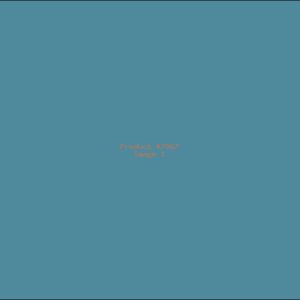 Example Product 7067