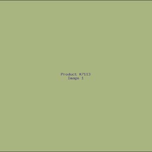 Example Product 7113