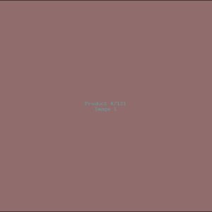 Example Product 7121