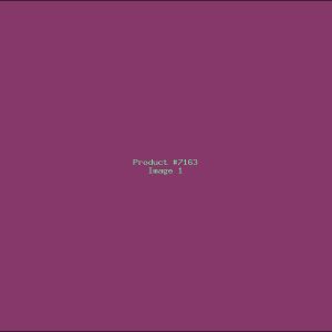 Example Product 7163