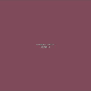 Example Product 7213