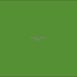 Example Product 7221