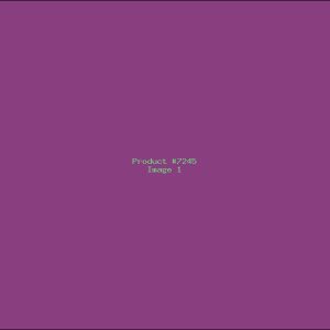 Example Product 7245