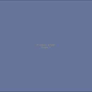 Example Product 7248