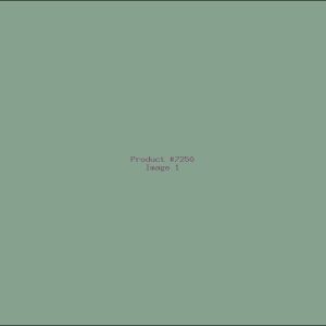 Example Product 7250