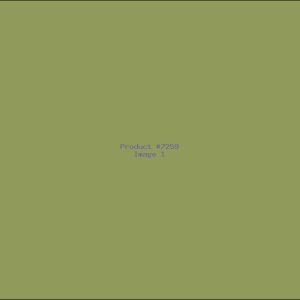 Example Product 7259