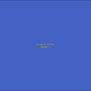 Example Product 7301